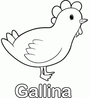 gallina